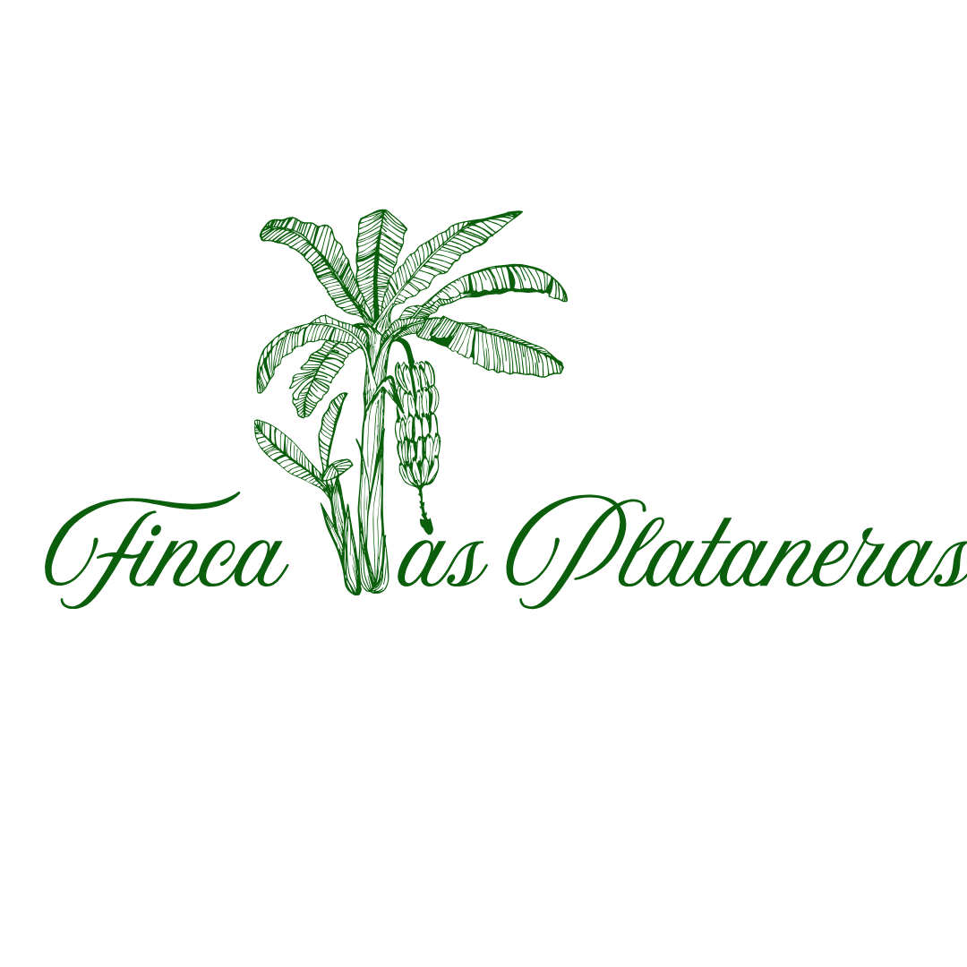Logotipo del sitio de formulario instantáneo